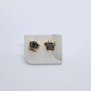 Stainless Steel Star Earring